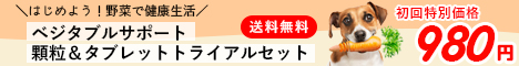 ٥֥륵ݡ