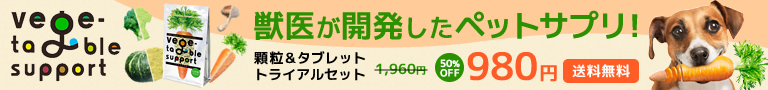 ٥֥륵ݡ