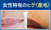 NOISU（ノイス）