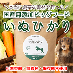 いぬひかり公式