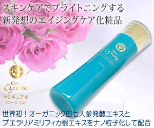 �P���L���A���[�V����