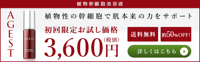 エイジスト