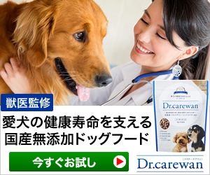 Drケアワン