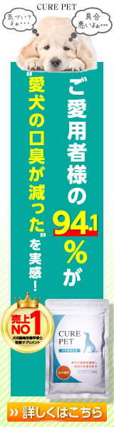 奢ڥå