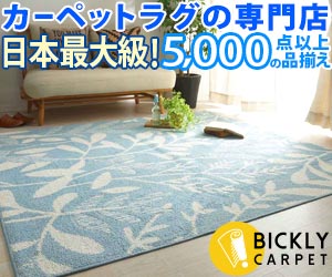 びっくりカーペット