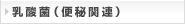 乳酸菌（便秘関連）