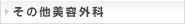 その他美容外科